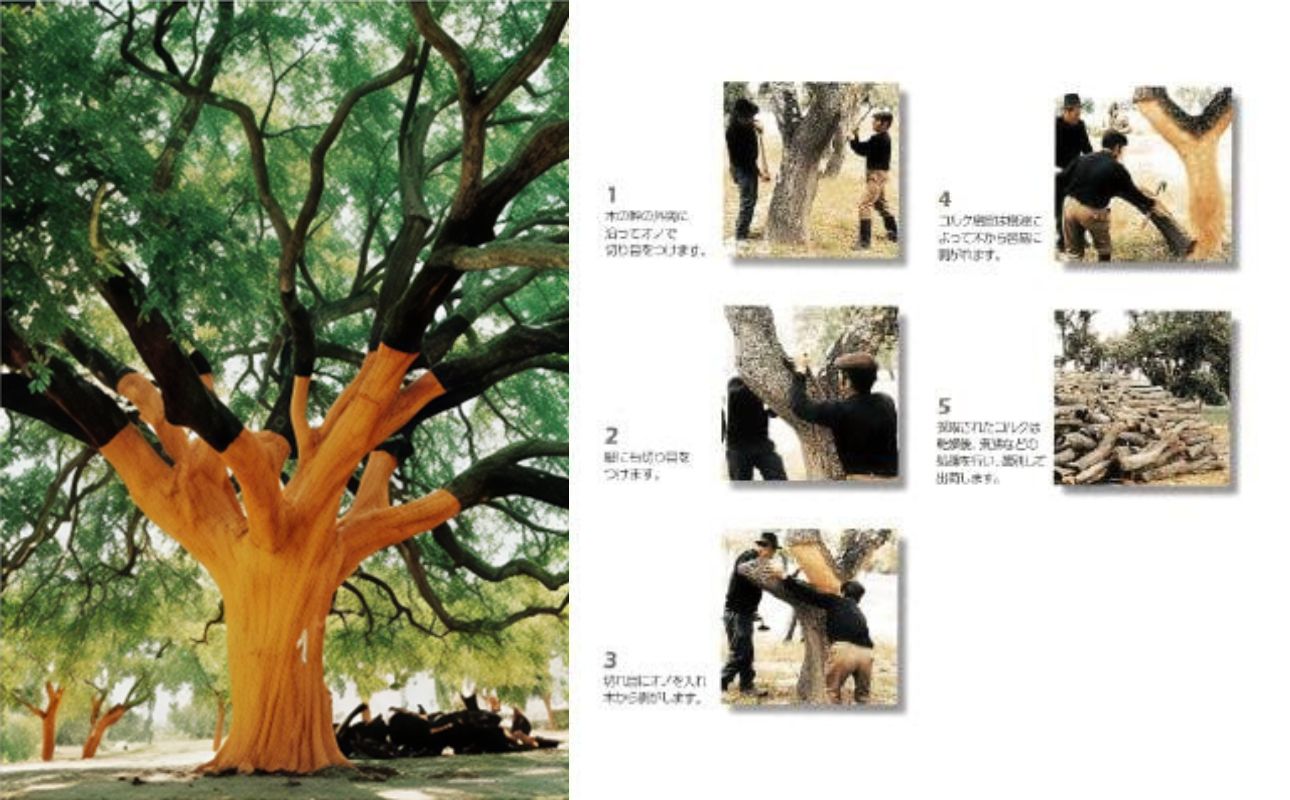 ルームシューズの理想形。天然素材、静音性、高反発クッションで足にやさしい、コルクでむれにくい、綿や麻の素材で、春夏らしいデザイン。「バークオブケイ」コルクルームシューズ爽（Made in Japanの高品質）（春夏デザインバージョン）Ｍサイズ(25.0cm) カラー：白　3足セット【スリッパ、室内履き、シューズ、靴、リビング、ビジネス、インテリア、三重県、四日市市、ふるさと納税】