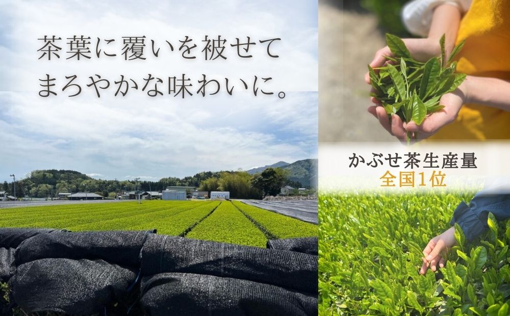 保存料・着色料は使用せず、三重県産高級小麦粉を使ったHideka.5のパウンドケーキ　かぶせ茶と黒豆のパウンドケーキ　フルサイズ1本　Hideka.5【パウンドケーキ お取り寄せ グルメ スイーツ お菓子 おやつ 洋菓子 ケーキ かぶせ茶 お茶 黒豆 ギフト 贈り物 三重県 四日市市 四日市】