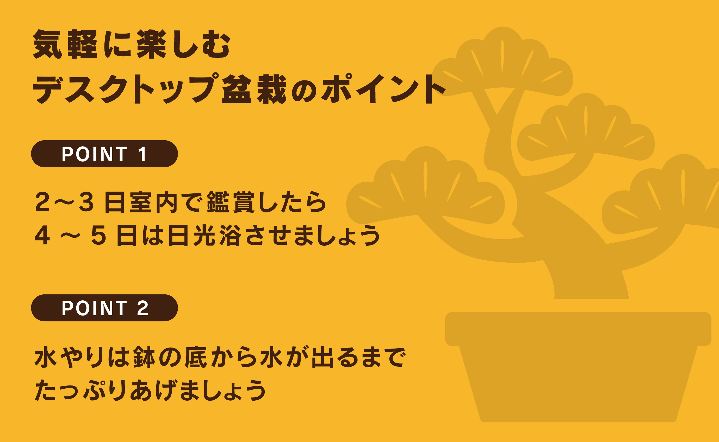 「デスクトップ盆栽」という新提案を四日市から（ミニチュアあり）