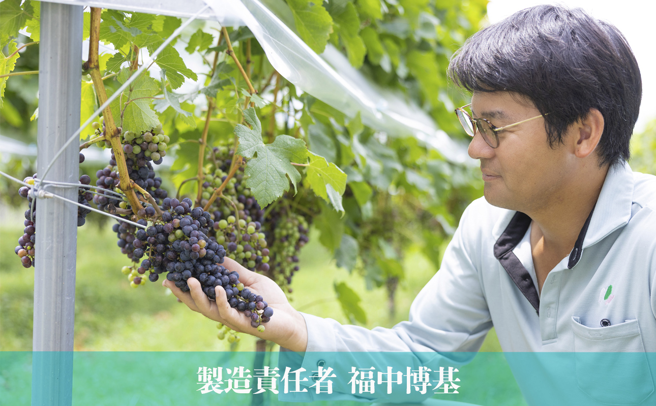 水沢（すいざわ）ワイン 日本有数のかぶせ茶の特産地で生まれた美味しい白ワイン。CUVEE MOMIJI （キュベ モミジ）シャルドネ(2025) 750ml（限定22本お早めに）【ワイン 水沢 水沢ワイン 国産 Made in Japan 白ワイン 白 シャルドネ 辛口 日本ワイン 三重県産 地場産品 贈り物 ギフト プレゼント お祝い 記念日 誕生日 お取り寄せ 三重県 四日市市 ふるさと納税】