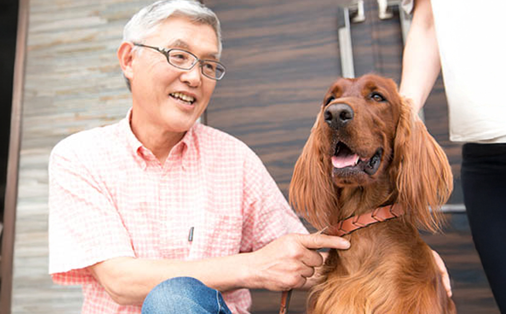 アニマルペットシータラクト 60カプセル入り×2箱【サプリメント 健康 健康食品 ペット 犬猫用 免疫 関節 腰 ビタミン 乳酸菌 三重県 四日市市 四日市 ふるさと納税】