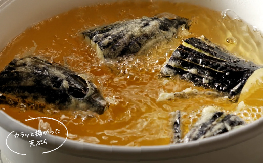 ＜定期便＞九鬼産業 太白純正胡麻油1650ｇ×1本【３回発送】 創業明治19年 ごま油の老舗「九鬼」 いつもの味を上質に変えるごま油。老舗 ゴマ油 胡麻油 ごま油 ドレッシング 調味料 料理 お祝い 贈答品 贈り物 ギフト ミシュラン 2つ星の割烹でも使用 四日市 四日市市 四日市市ふるさと納税