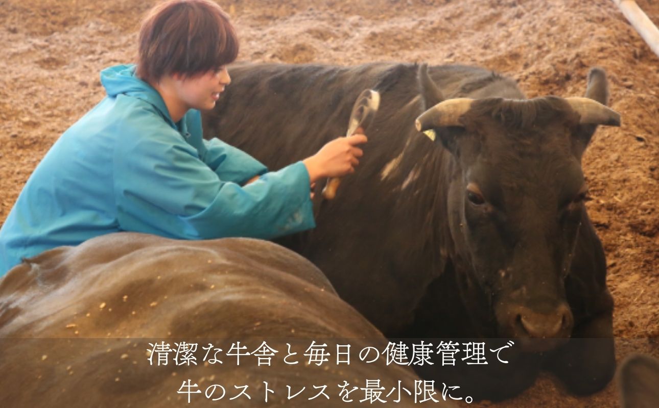 伊勢水沢牛 焼肉用 500g （赤身 モモ・カタ）/ 国産 牛肉 焼肉 ブランド牛 BBQ バーベキュー モモ カタ モモ肉 上質 冷凍 冷凍便 三重県産 黒毛和牛 牛 精肉 切り落とし 赤身 お取り寄せ ヘルシー ギフト 贈答 うまみ 最優秀賞 家庭用 自宅用 和牛 おすすめ 人気 三重県 四日市市 ふるさと納税