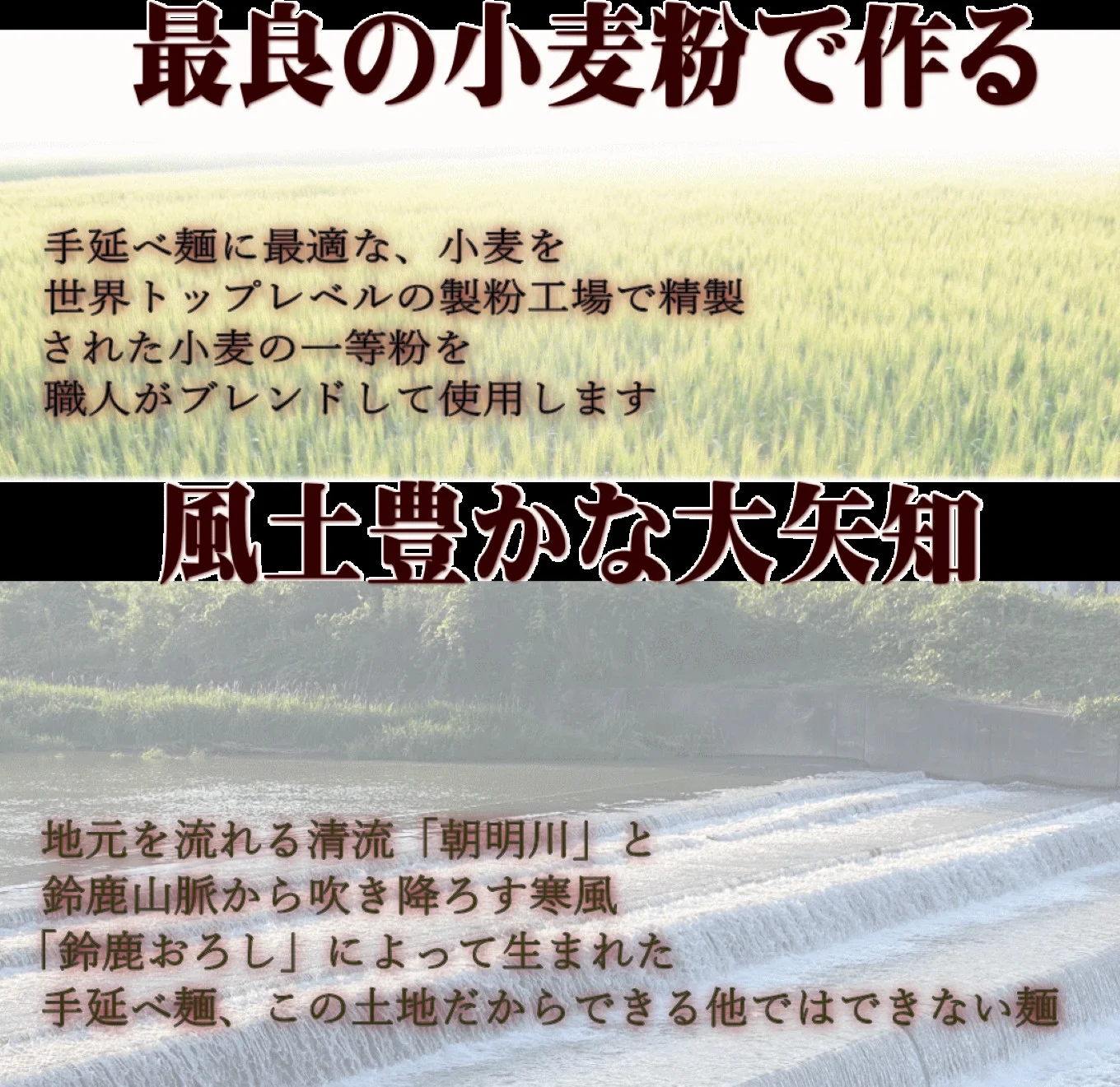 TV番組「マツコ＆有吉 かりそめ天国」紹介店　こゅうどうくん箱入り手延そうめん　寒仕込み お土産 三重県 四日市 渡辺手延製麺所 製造直売 高級手延べ麺 自宅用 贈答用 手延べ素麺　高級 ソーメン 保存食 非常食 乾麺 御中元 三重県特産品 贈り物うまくてご麺 umakutegomen素麺　ソーメン