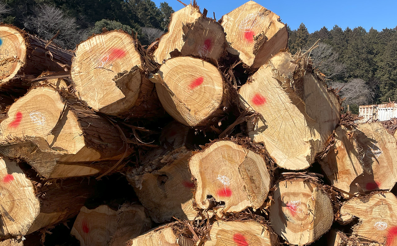 三重県 尾鷲（オワセ）ヒノキ使用、職人技「伊勢逢わせ」一枚板テーブル　幅1,500×奥行750～850×高さ約720㎜　【家具 インテリア 一枚板 おすすめ ブランド メーカー オーダーメイド 手作り おしゃれ 木 テーブル ダイニング 家族 一人暮らし 脚 天板 新生活 引越し 椅子 イス ブルック 三重県 四日市市 ふるさと納税】