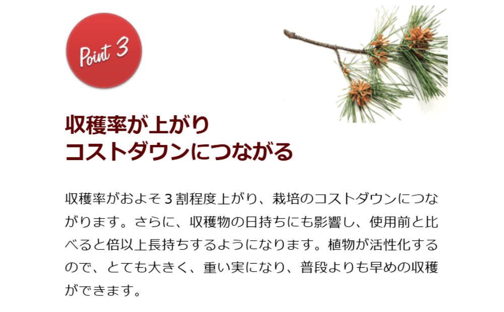 HB-101　おためしセット