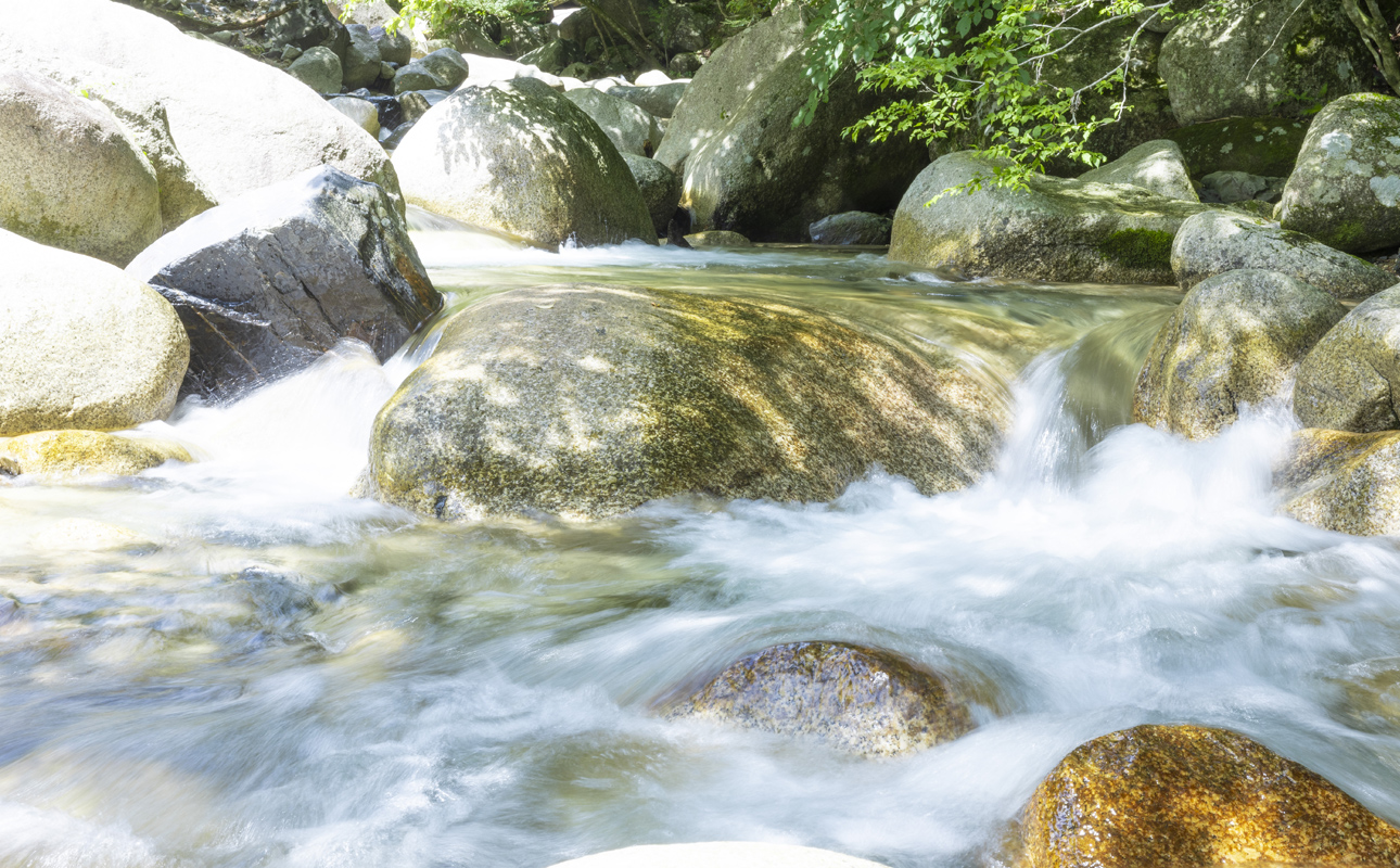 忥åžèªå®å°å Žç¹ç£åãæ³æ°Žå貚åºïŒããããã£ããŠãïŒãæ¿ãæ¹è¶ã°ãªãŒã³ã㣠ç¡ç³ã»æç³åïŒæ¬ãææãè¢ä»ã