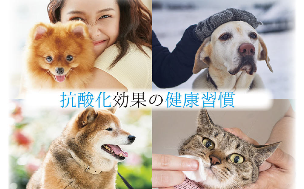 アニマルペットシータラクト 60カプセル入り×2箱【サプリメント 健康 健康食品 ペット 犬猫用 免疫 関節 腰 ビタミン 乳酸菌 三重県 四日市市 四日市 ふるさと納税】