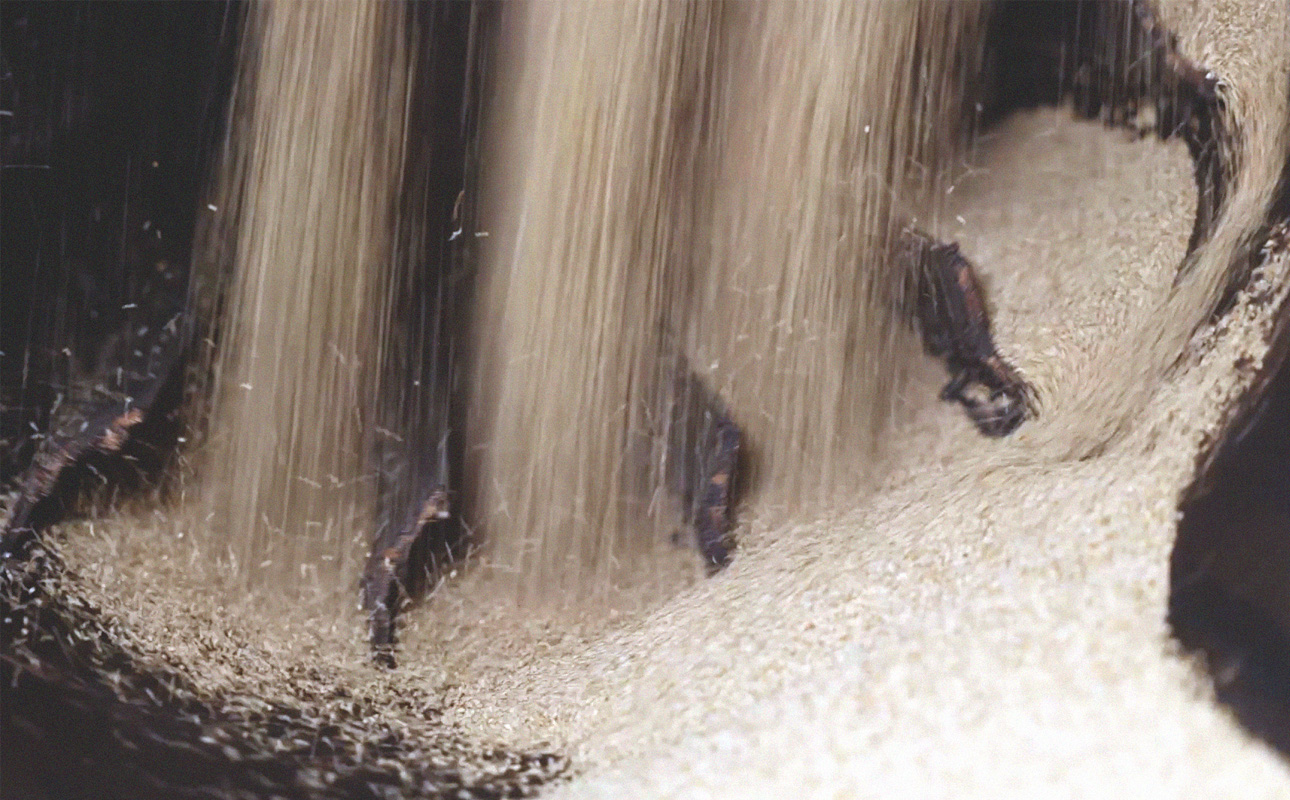 四日市認定地場特産品【泗水十貨店（しすいじっかてん）】伊勢水純正胡麻油（３本セット）手提げ袋付き