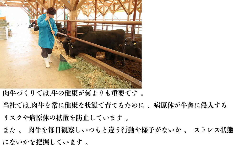 伊勢水沢牛（いせすいざわぎゅう）カルビ 焼肉用　1kg　三重畜産【国産牛 牛肉 お肉 肉 焼肉 カルビ 三重県 四日市市】