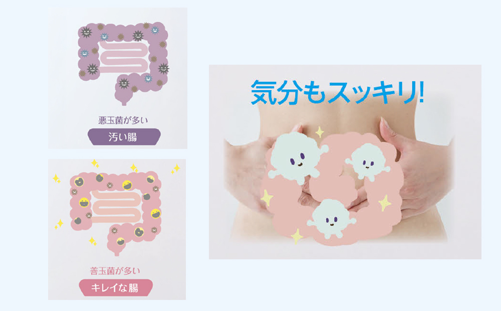 ã¹ãŒããŒã·ãŒã¿ã©ã¯ãã1ç®± 90ã«ãã»ã«å
¥ãããµããªã¡ã³ã å¥åº· å¥åº·é£å ã±ã¢ å
ç« ãã¿ãã³ é¢ç¯ è
° ä¹³é
žè äžéç 忥åžåž åæ¥åž ãµãããšçŽçšã