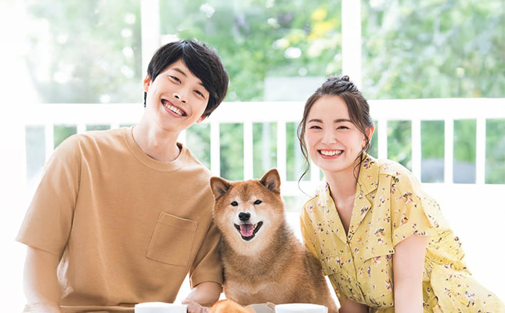 アニマルペットシータラクト 60カプセル入り×2箱【サプリメント 健康 健康食品 ペット 犬猫用 免疫 関節 腰 ビタミン 乳酸菌 三重県 四日市市 四日市 ふるさと納税】