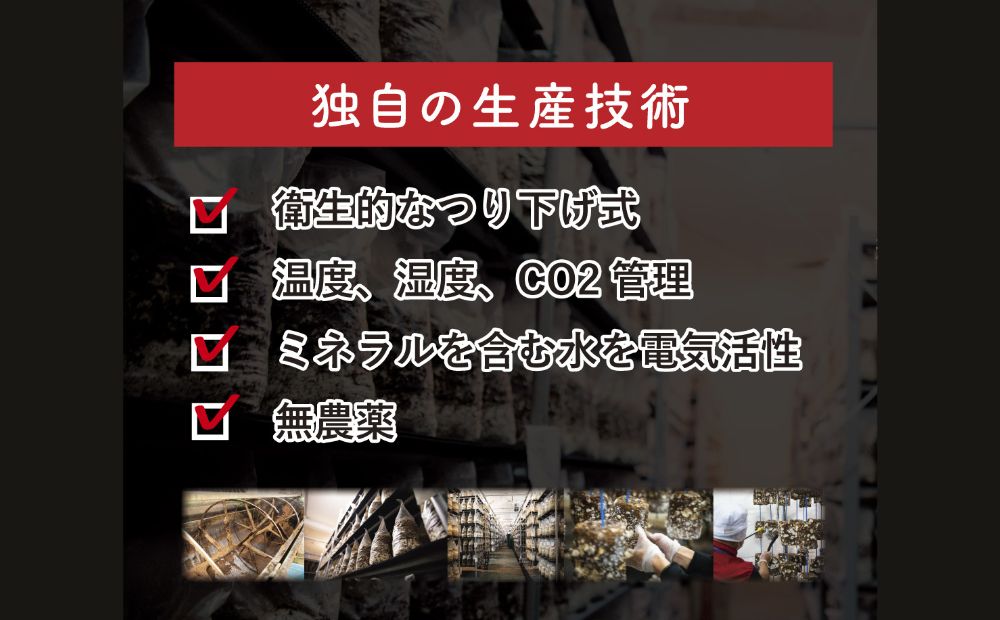 松太郎と松太郎ジャーキー詰め合わせ