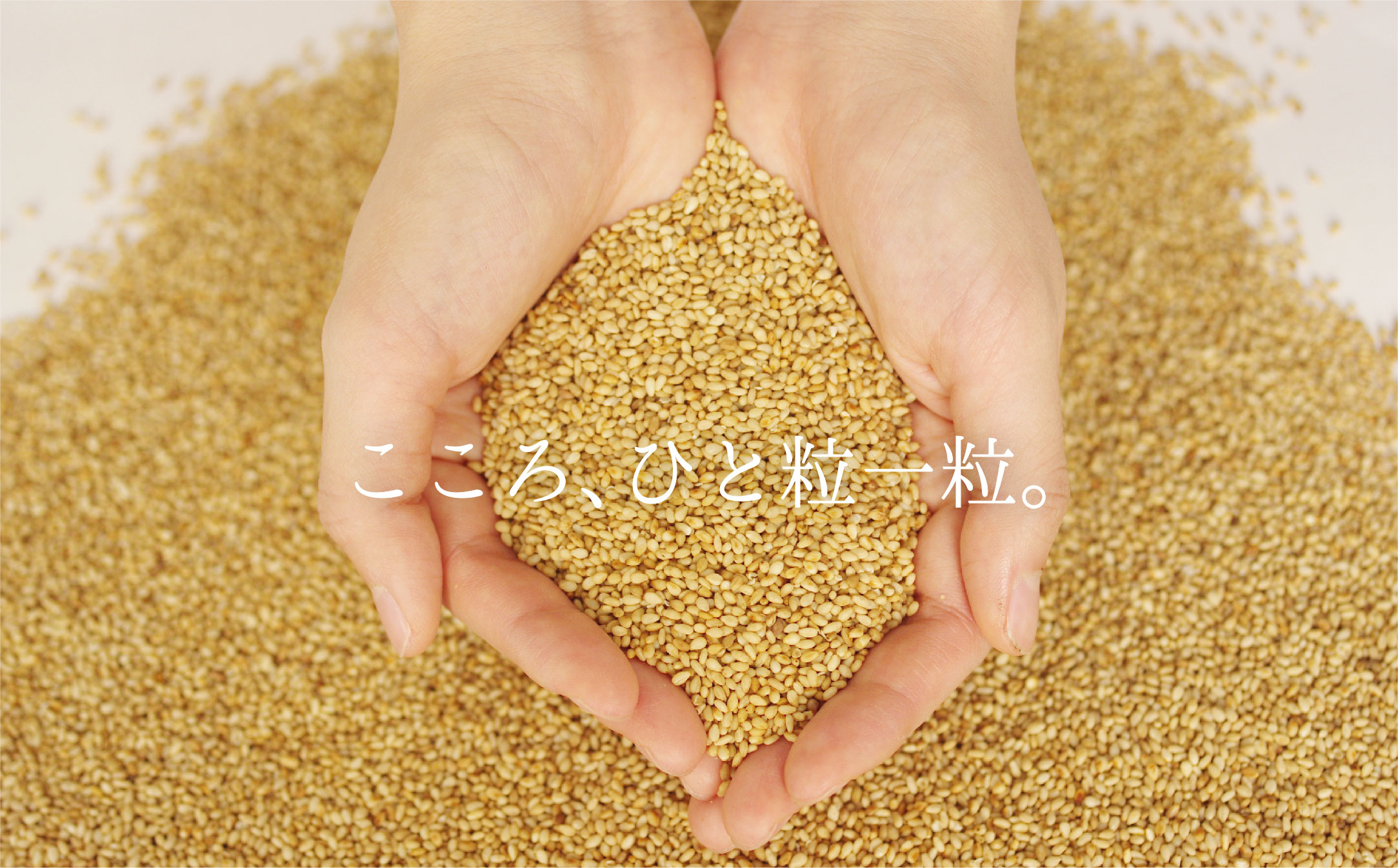 ＜定期便＞九鬼産業 太白純正胡麻油1650ｇ×1本【３回発送】 創業明治19年 ごま油の老舗「九鬼」 いつもの味を上質に変えるごま油。老舗 ゴマ油 胡麻油 ごま油 ドレッシング 調味料 料理 お祝い 贈答品 贈り物 ギフト ミシュラン 2つ星の割烹でも使用 四日市 四日市市 四日市市ふるさと納税