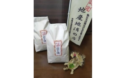 1872 精米発送（玄米5ｋｇを精米してから発送するため1割ほど目減りします）令和7年産結びの神 数量限定 ご飯 お米 コメ 5キロ 白米 伊勢市 伊勢市産 伊勢志摩 三重県 米粒が大きい つや べたつき少ない もちもち ふっくら 大西農園