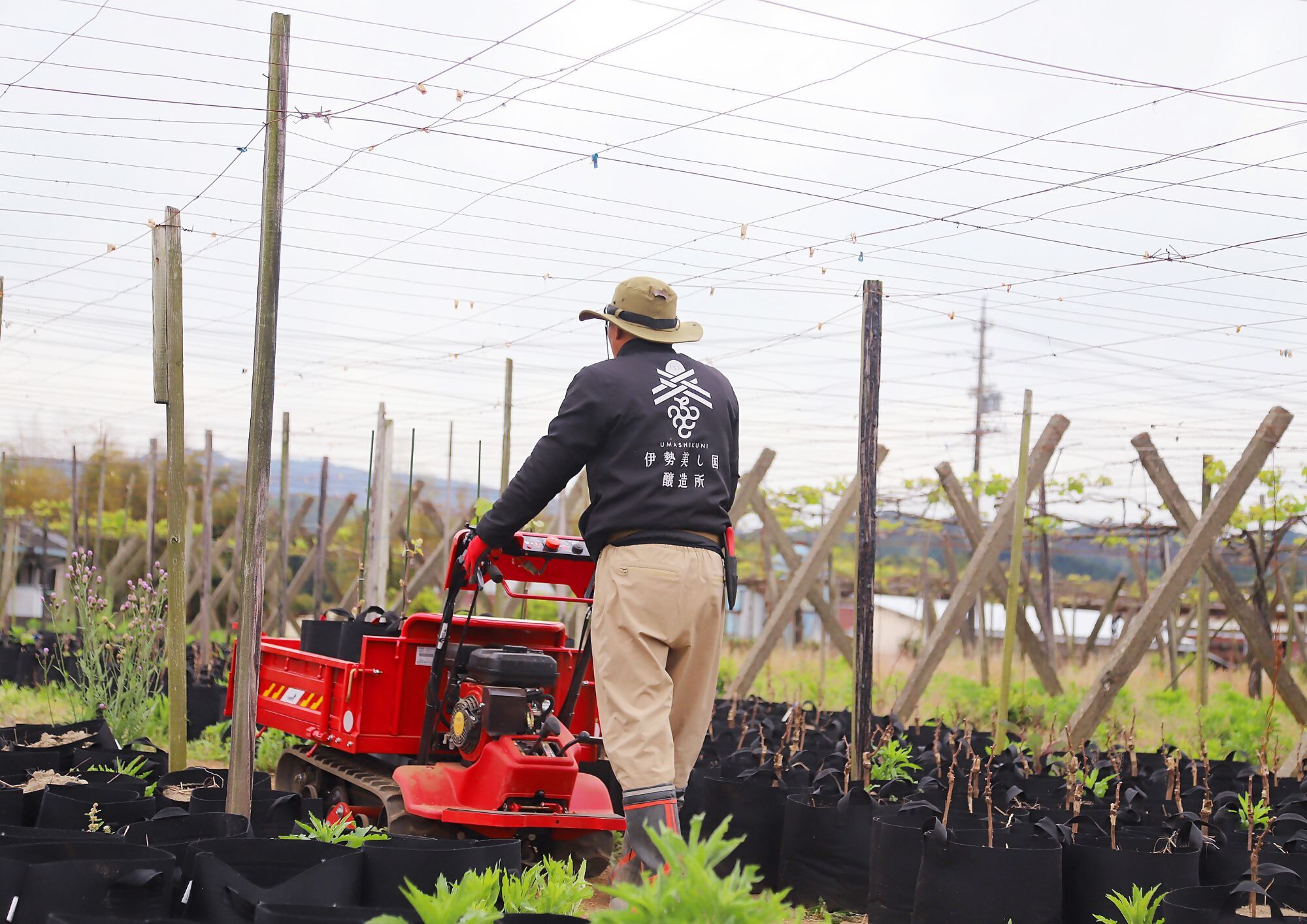 2024 伊勢美し国ギフトセット～美し国オレンジ・ハーフボトル＆KAMABOKO Blanc～オレンジワイン1本（375ml）＆蒲鉾1本（約300g) 日本ワイン 酒 グルメ 高級 人気 伊勢志摩 伊勢 オススメ 食 美食 老舗 おいしい