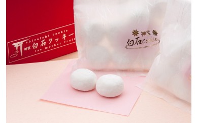 078 神宮白石クッキー&紅果実セット　42個入り