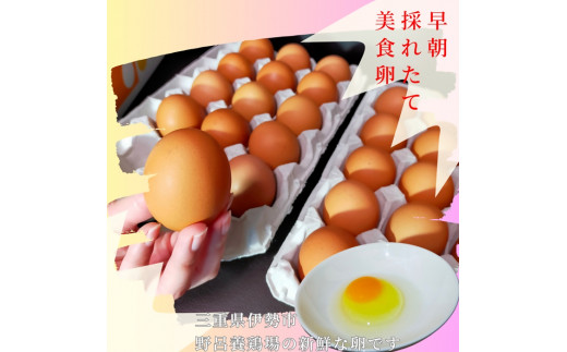 1522 こだわり 自慢のたまご 美食卵 120個 伊勢産 野呂養鶏場 ふるさと納税 玉子 国産 新鮮 濃厚 たまご 卵 生卵 とれたて 卵かけごはん TKG お取り寄せ グルメ 伊勢志摩 三重県 伊勢市