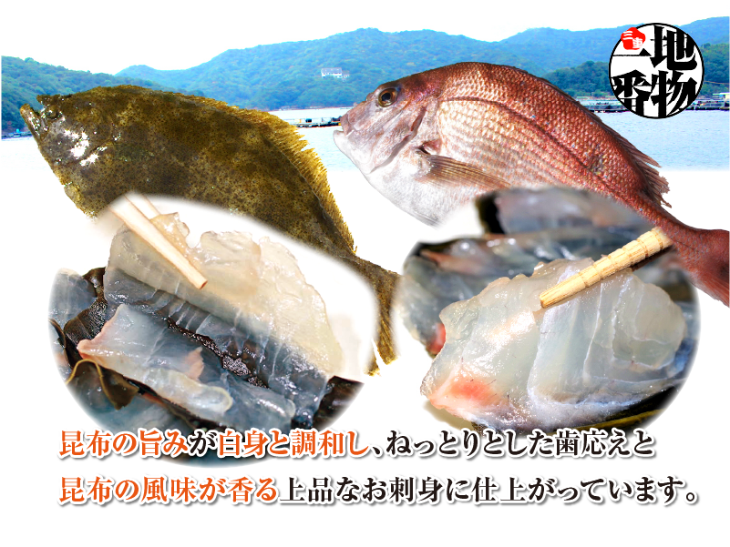 1745　昆布〆セット[真鯛・ひらめ]　昆布〆 真鯛 ひらめ おつまみ おかず 酒の肴 海の幸 魚介 昆布締め 刺身 こんぶじめ 三重県 伊勢市 伊勢志摩