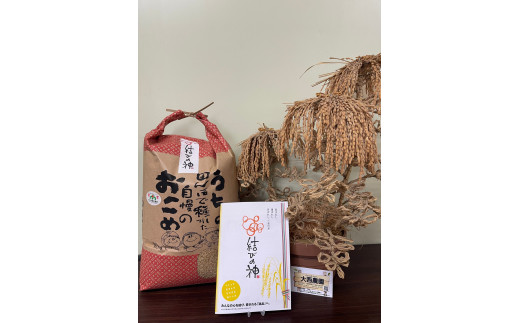 1870 精米発送（玄米10ｋｇを精米してから発送するため1割ほど目減りします）令和7年産結びの神 数量限定 ご飯 お米 コメ 10キロ 白米 伊勢市 伊勢市産 伊勢志摩 三重県 米粒が大きい つや べたつき少ない もちもち ふっくら 大西農園