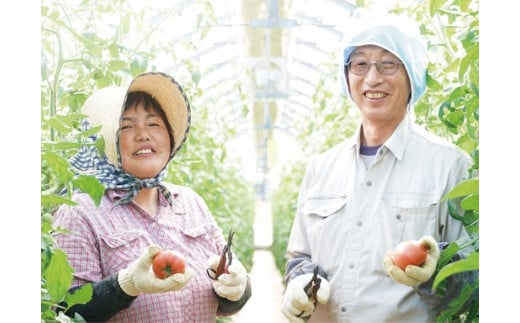 337ãããŒãäŒå¢ã©ãããšãŸãšããèŽççš70gã3è¢ã»ããBlack BoxãäŒå¢ ãäŒå¢ãã ããã ãã©ã€ããã ãèŽççš ãªãŒã«äŒå¢ ä¹Ÿç© ä¹Ÿç¥éè 岩æžã®å¡© ã©ãããšãŸãš ãã ããã®ããããšã¡ãã³ ãã ãã ããããšã¡ãã³