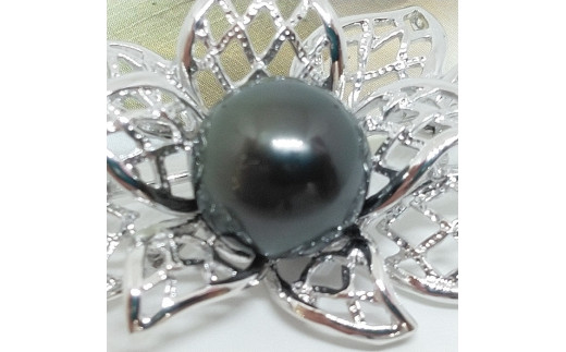 751タヒチ黒本真珠ブローチ(Ａ)ＳＶ製