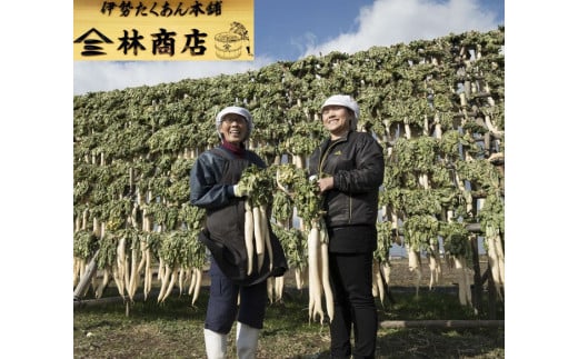 1583　若大根白漬　3袋老舗　漬物屋　林商店　ふるさと納税　漬物　だいこん　つけもの　　伊勢市　伊勢志摩　三重　伊勢沢庵　各種漬物　製造本舗　和食　米がススム　お取り寄せ　定番グルメ　ご飯のお供