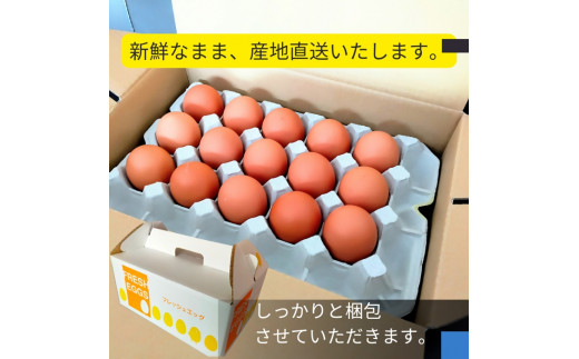 1520 こだわり 自慢のたまご 美食卵 30個　伊勢産 野呂養鶏場 ふるさと納税 玉子 国産 新鮮 濃厚 たまご 卵 生卵 とれたて 卵かけごはん TKG お取り寄せ グルメ 伊勢志摩 三重県 伊勢市