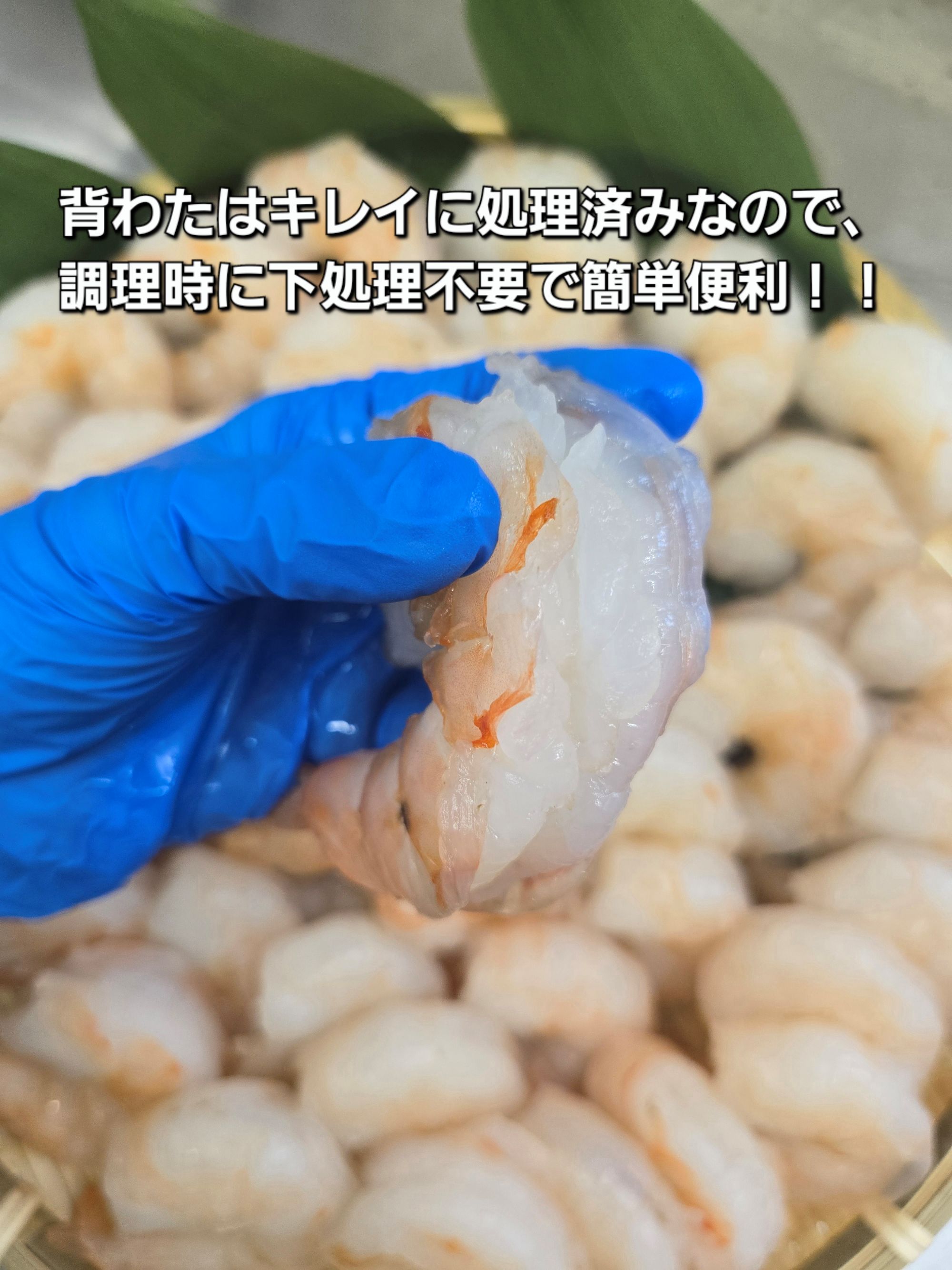 1809ãäŒå¢ã§å å·¥ãã(逿®ïŒå€§ç²ãããã³1Kgè¢Ã2ã»ãããèã¯ã¿ç¡ã ããªã㪠ããªã㪠å·å ãåŒåœ ããã éä»é¡ äžéç äŒå¢åž äžåŠçäžèŠ æµ·é®® å€§å®¹é æç