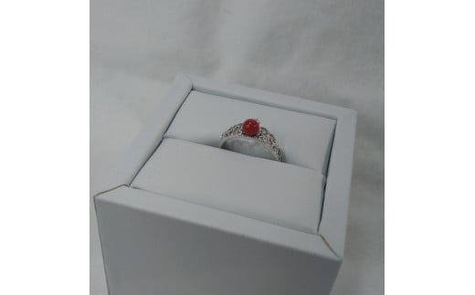 1648　珊瑚リング・クラウン（胡渡）