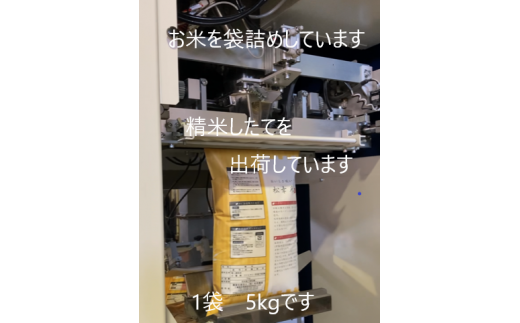 1449 特選米　コシヒカリ　10kg