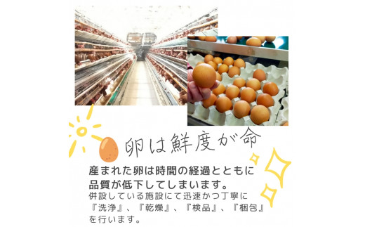 1520 こだわり 自慢のたまご 美食卵 30個　伊勢産 野呂養鶏場 ふるさと納税 玉子 国産 新鮮 濃厚 たまご 卵 生卵 とれたて 卵かけごはん TKG お取り寄せ グルメ 伊勢志摩 三重県 伊勢市