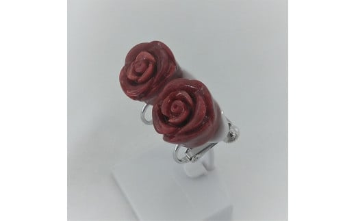 1323迴顔霜繧、繝、繝ェ繝ウ繧ー繝サ繝舌Λ