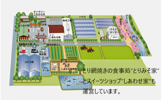1449 特選米　コシヒカリ　10kg