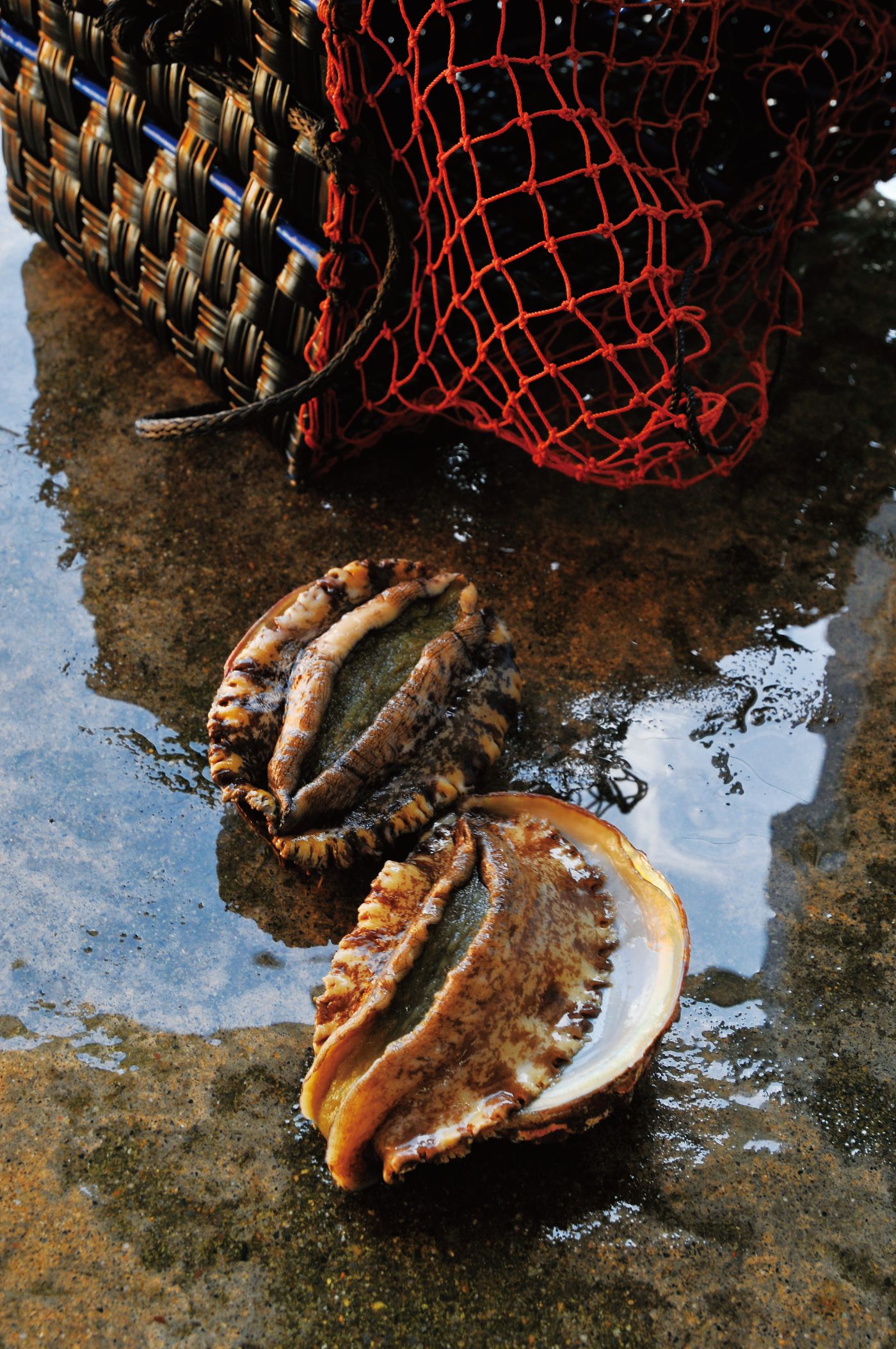 1754　〈伊勢せきや〉鮑ステーキ　ステーキ 豪華 プレゼント 天然黒鮑 あわび　