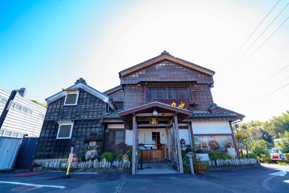 2009 譚セ髦ェ閧峨ョ縺吶″辟シ縺阪さ繝シ繧ケ縺企」滉コ句虻1蜷肴ァ伜縲莨雁兇 莨雁兇蠢玲束 閧 骰 莠コ豌 縺翫>縺励> 鬟滉コ 鬟溘∋繧 譚セ髦ェ迚 閠∬