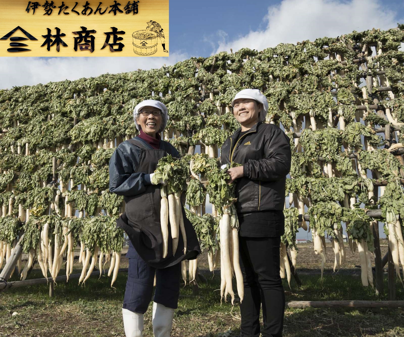 1722　伊勢志摩産　無添加　熟成　梅干　五ヶ所　小梅　100g　3個　計300g　塩分10%　ふるさと納税　訳あり　うめ　梅　手作り　うめぼし　送料無料　三重　伝統の味　老舗　伊勢　沢庵の林商店