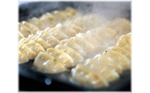 622あじへいの冷凍生ぎょうざ　素材のうま味　餃子