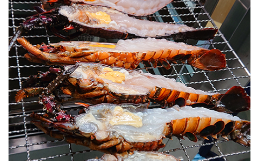 1258ãäŒå¢æµ·èã®å¹²ç©ãäŒå¢æµ·èãå¹²ç©ãäžéçãã©ã³ãèªå®ç¬¬äžå·