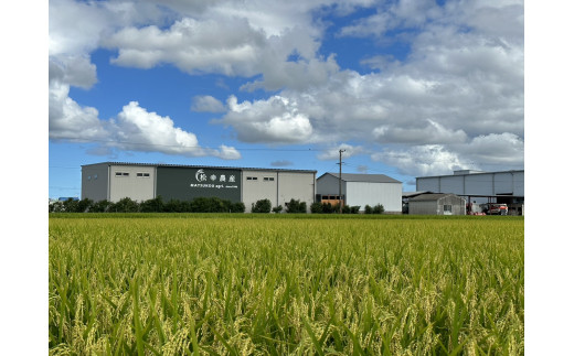 1449 特選米　コシヒカリ　10kg