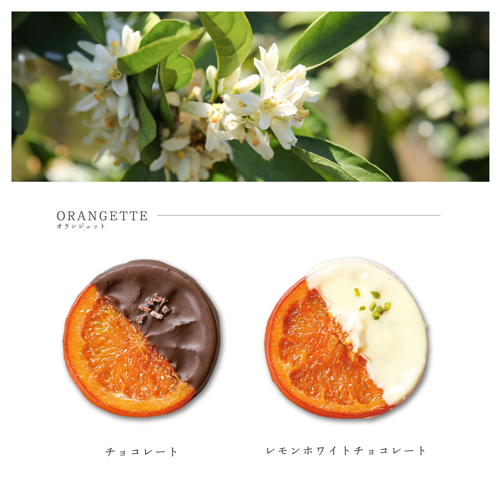 1841 ãªã©ã³ãžã§ããè©°ãåããããªã©ã³ãžã§ãã ãªã©ã³ãžã§äºåéŽå· çµå©åŒãèå äŒå¢ãèå ãªãªãžãã«ãèå æäœã å°ç£å°æ¶ äŒå¢ ãããã㟠äžéçãèå è©°ãåãã ã®ãã ãªã¬ã³ãž