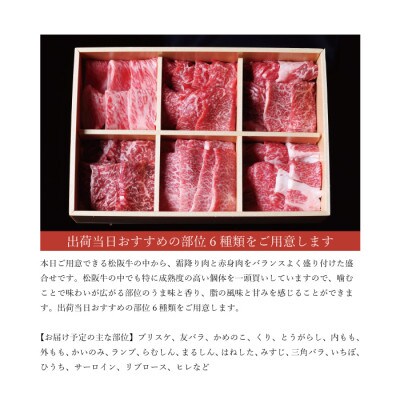 松阪牛 極上焼肉 おまかせ6種 600g【配送不可地域：離島】【1566676】