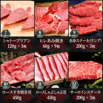 縲先ッ取怦螳壽悄萓ソ縲第收髦ェ迚帛ョ壽悄萓ソ 豈取怦雍豐「繧ウ繝シ繧ケ蜈ィ12蝗槭宣埼∽ク榊庄蝨ー蝓滂シ夐屬蟲カ縲代4086836縲