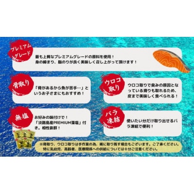 銀鮭切り身 骨取り 無塩 1kg 無添加 冷凍 鮭 プレミアム バラ凍結 ウロコ取り 骨なし【配送不可地域：離島】【1650485】