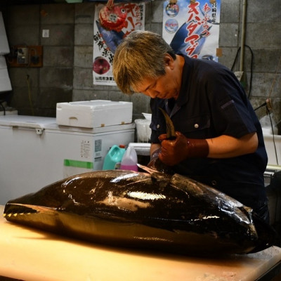 本まぐろタタキ 800g ( 200g×4パック )【配送不可地域：離島】【1501221】