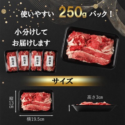 【訳あり】松阪牛 プレミアム切り落とし 500g(250g×2P)【配送不可地域：離島】【1566682】