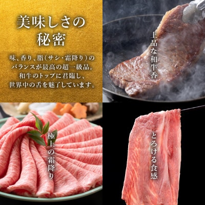 松阪牛100%ハンバーグ(150g×3個入り)【配送不可地域：離島】【1463948】