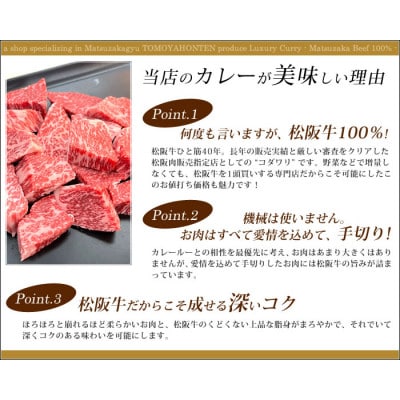 松阪牛レトルトカレー3箱化粧箱入り(中辛3)　松阪肉100%  豪華 ディナー【1550303】