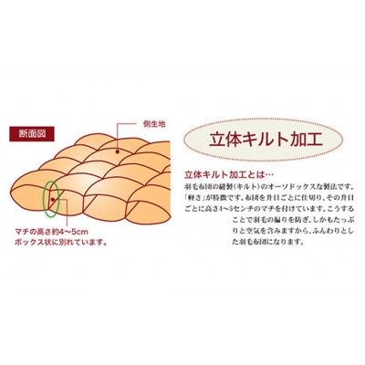 ザ・羽毛布団 ロイヤルゴールドラベル シングル 150×210cm ポーランド産ダック 立体キルト【1688813】