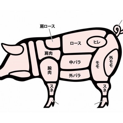【発送月固定定期便】松阪豚 半頭買い 毎月2.5キロ 松阪肉の街三重県松阪市のブランド豚肉全12回【配送不可地域：離島】【4077501】